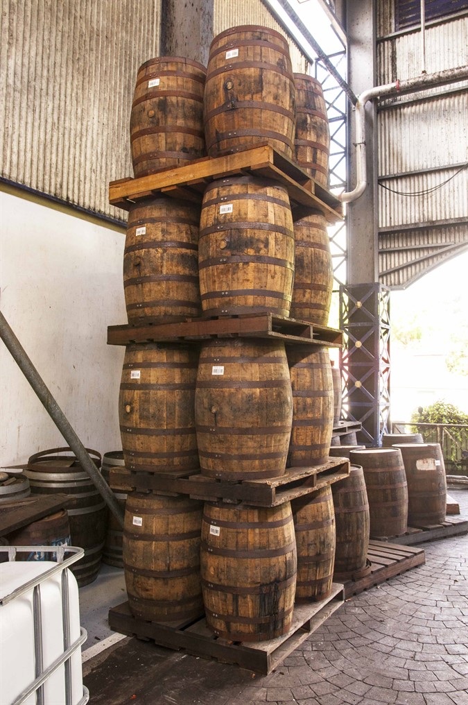 Destillerie Depaz In Martinique 40