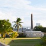 Besøg på Foursquare Rum Distillery, Barbados