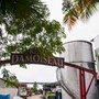 Besøg hos Distillerie Damoiseau