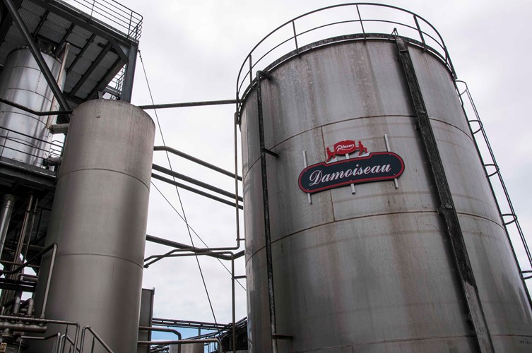 Besøg hos Distillerie Damoiseau
