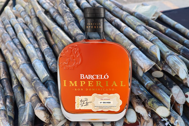 Imperial Barcelo