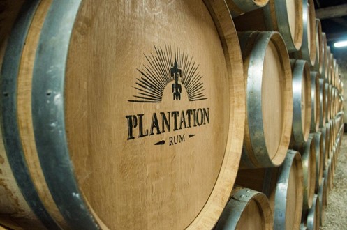 Plantation Fade