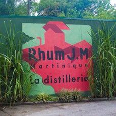 Destilleribesøg: Rhum J.M.