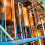 Besøg på Foursquare Rum Distillery, Barbados