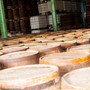 Besøg på Foursquare Rum Distillery, Barbados