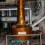 Besøg hos St. Lucia Distillers