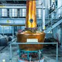 Besøg hos St. Lucia Distillers