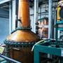 Besøg hos St. Lucia Distillers