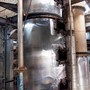 Besøg hos St. Lucia Distillers