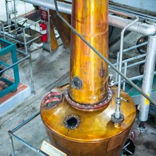 Besøg hos St. Lucia Distillers