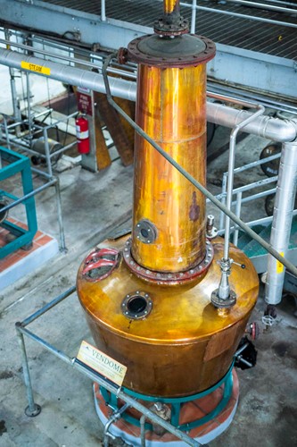 Besøg hos St. Lucia Distillers