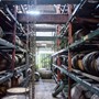 Besøg hos St. Lucia Distillers