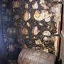Besøg hos St. Lucia Distillers