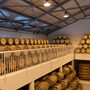 Besøg hos Distillerie Bologne