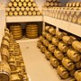 Besøg hos Distillerie Bologne