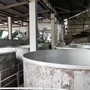 Besøg hos Distillerie Longueteau
