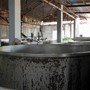 Besøg hos Distillerie Longueteau