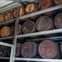 Besøg hos Distillerie Damoiseau