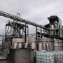 Besøg hos Distillerie Damoiseau