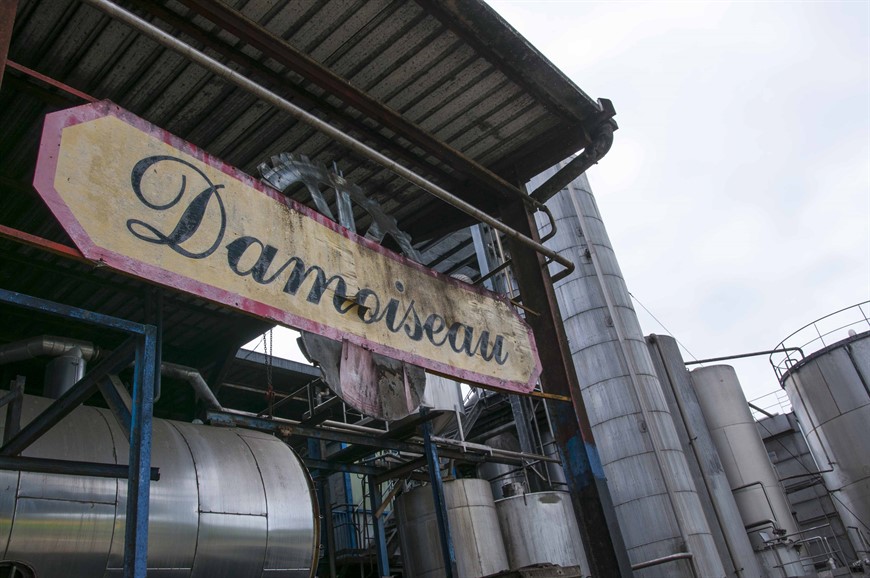 Besoeg Hos Distillerie Damoiseau 16