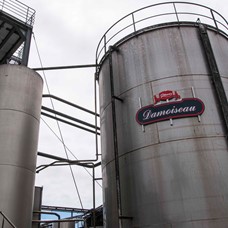 Besøg hos Distillerie Damoiseau