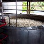 Besøg hos Distillerie Damoiseau