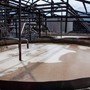 Besøg hos Distillerie Damoiseau