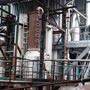 Besøg hos Distillerie Damoiseau