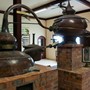 Besøg hos Distillerie Reimonenq