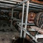 Besøg hos Distillerie Reimonenq