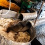 Besøg hos Distillerie Bielle