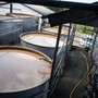 Besøg hos Distillerie Bielle