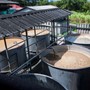 Besøg hos Distillerie Bielle