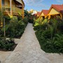 Rom & Rejs til Martinique 2019 